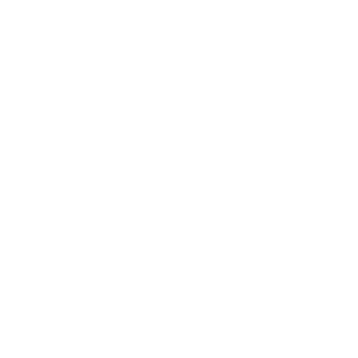 Optimization Icon