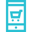 portal Icon