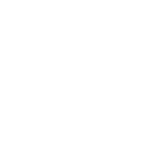 Optimization Icon