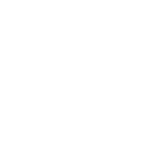 Optimization Icon